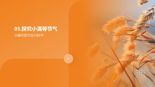 小满节气全解析