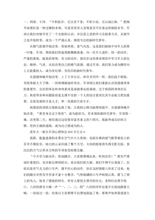 虎年大一新生军训心得体会800字左右.docx