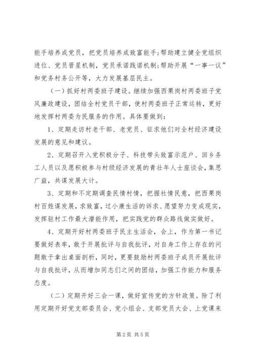 第一书记驻村工作计划 (3).docx