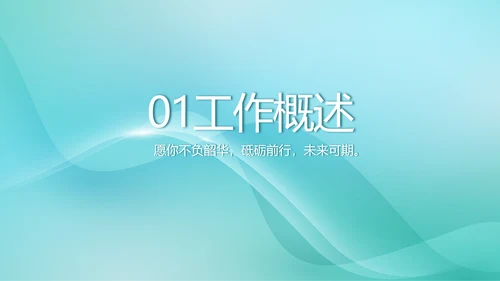蓝色简约医院医疗工作汇报总结PPT