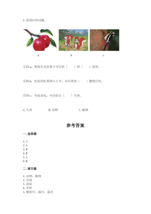 教科版小学二年级上册科学期末测试卷word.docx