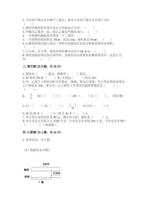 北京版六年级下册数学期中测试卷推荐.docx