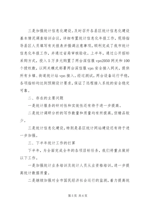 市统计局XX年上半年工作总结及下半年工作计划.docx