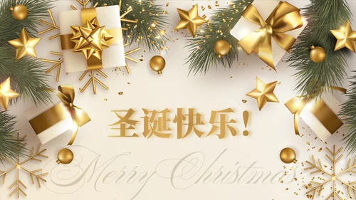 圣诞礼盒圣诞节活动策划方案通用PPT模板