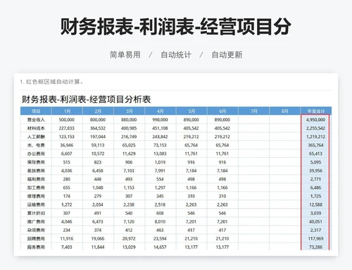 财务报表-利润表-经营项目分析表