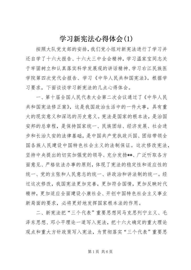 学习新宪法心得体会(1).docx