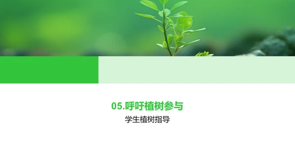 播种绿意 传承希望