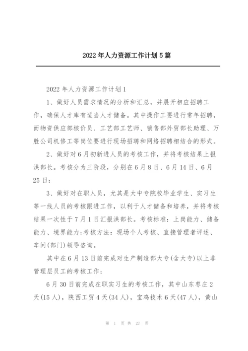2022年人力资源工作计划5篇.docx