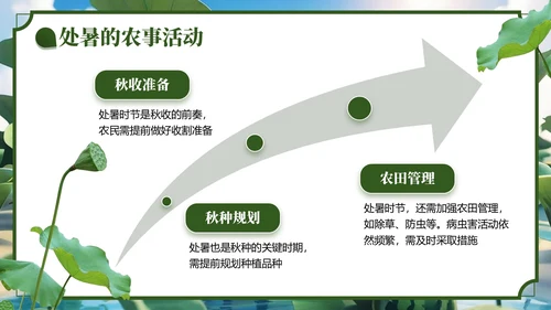 绿色3D风处暑节气主题班会