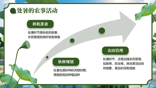 绿色3D风处暑节气主题班会