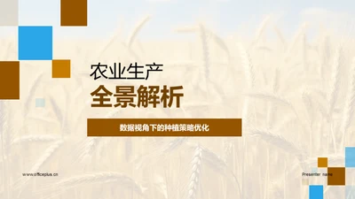 农业生产全景解析