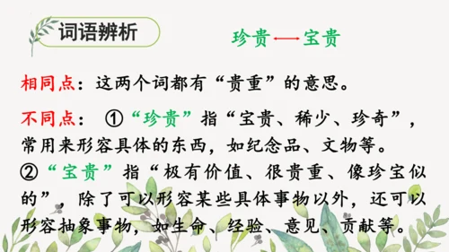 识字3 贝的故事（第一课时）课件
