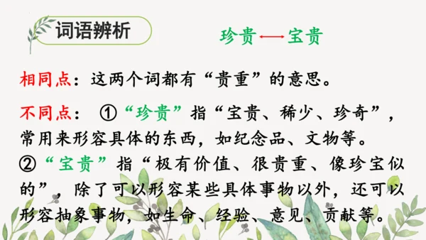 识字3 贝的故事（第一课时）课件