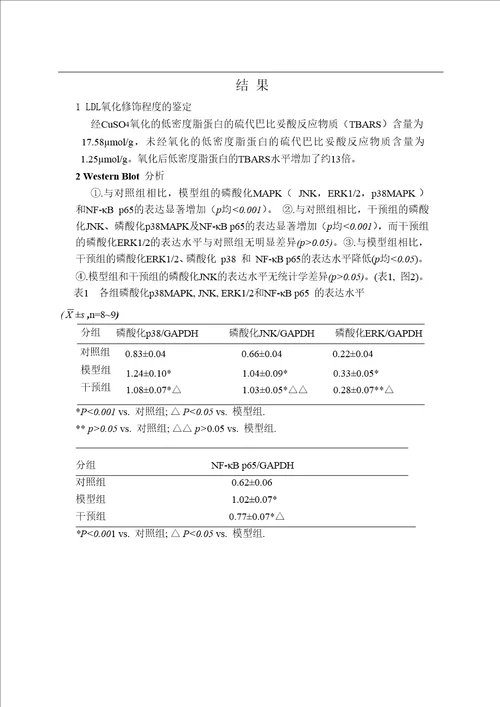 穿心莲内酯抑制小鼠腹腔巨噬细胞源性泡沫细胞中mapk的激活和nfb的表达