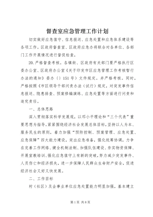 督查室应急管理工作计划.docx