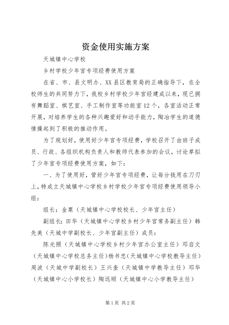 资金使用实施方案 (2).docx