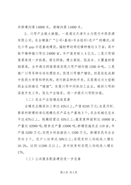 乡镇政府三农工作总结和下一年工作计划.docx