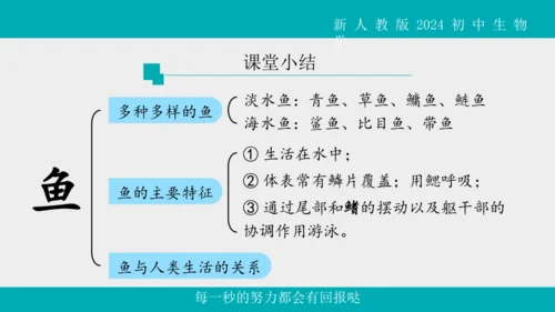 人教版生物七年级上册2.2.2《脊椎动物》（第1课时）课件(共42张PPT)+视频素材