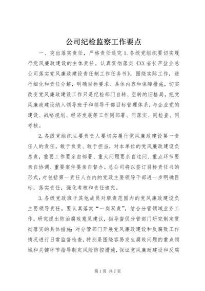 公司纪检监察工作要点.docx