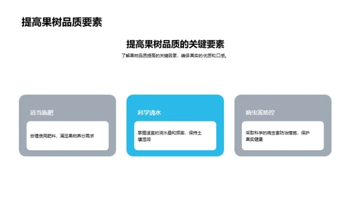 果树种植全方位解析