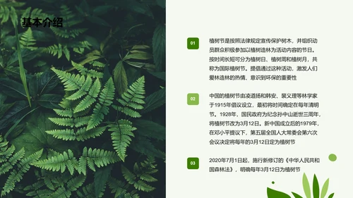 绿色简约扁平植树节节日科普PPT