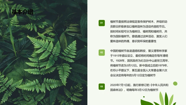 绿色简约扁平植树节节日科普PPT