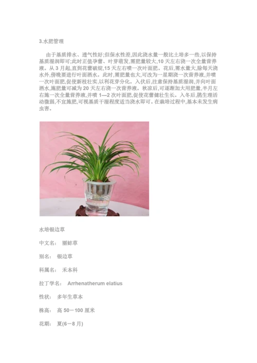 适合水培花卉的品种.docx