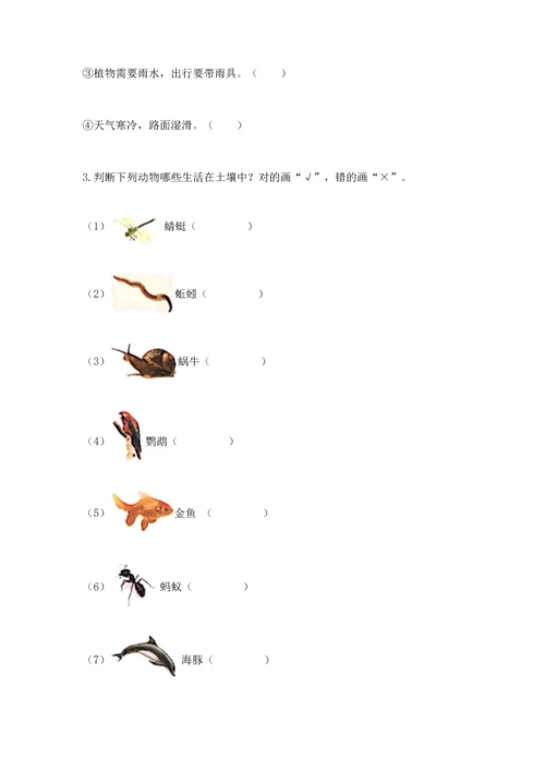 教科版二年级上册科学期末测试卷精品【有一套】.docx