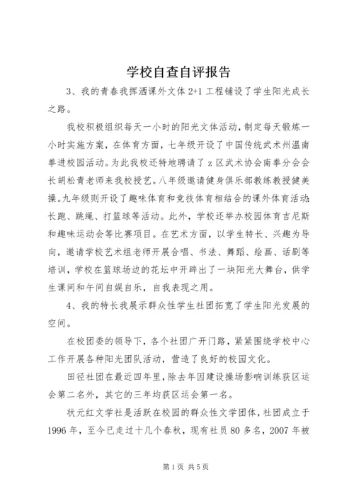 学校自查自评报告 (8).docx