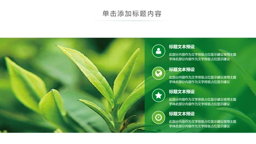 清新茶文化采茶茶道茶艺茶文化PPT模板