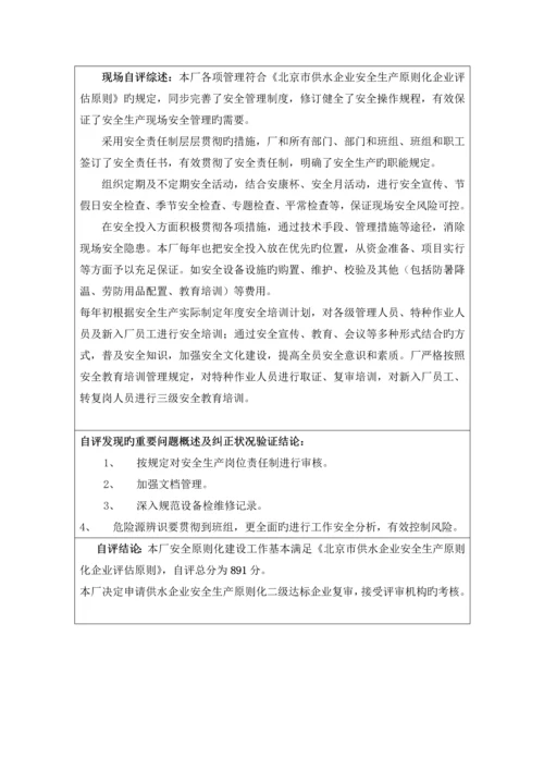 公司安全生产标准化自评报告.docx