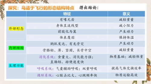 人教版生物八年级上册5.1.6《鸟》课件(共27张PPT)