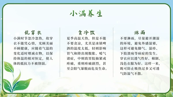 绿色清新国潮二十四节气之小满带内容PPT模板