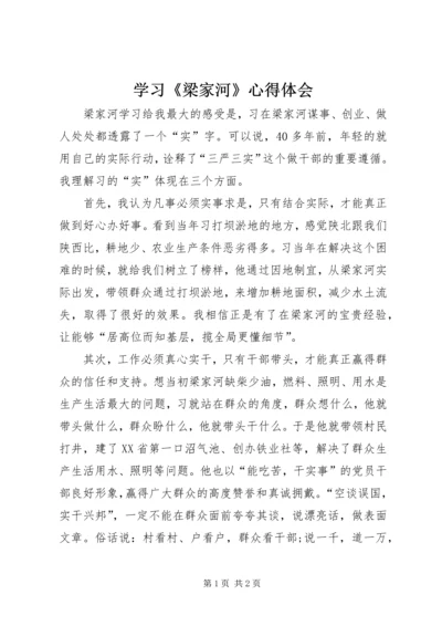 学习《梁家河》心得体会 (15).docx