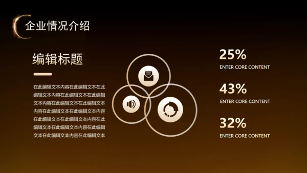 黑金风房地产融资计划书通用PPT模板