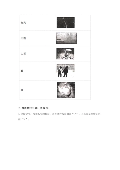 教科版三年级上册科学期末测试卷精品【必刷】.docx
