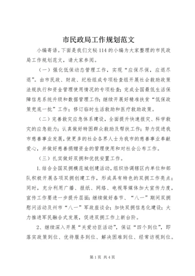 市民政局工作规划范文.docx