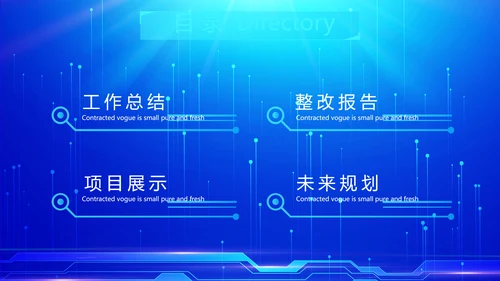 蓝色科技网络信息软件工作总结计划PPT