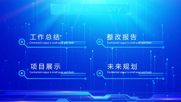 蓝色科技网络信息软件工作总结计划PPT