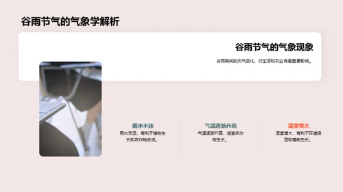 深度解析谷雨节气