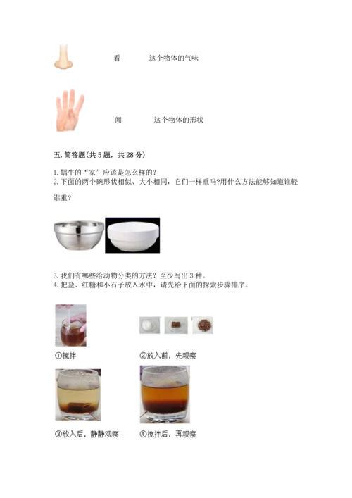 教科版一年级下册科学期末测试卷及完整答案【考点梳理】.docx