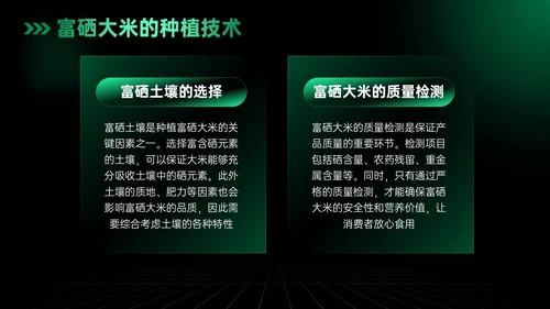 绿色科技风科技富硒大米新品发布会