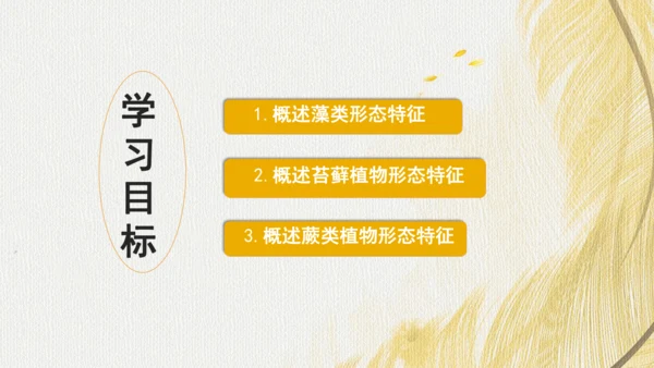 人教版（2024）七年级上册2.1.1藻类、苔藓植物和蕨类植物(共17张PPT)+视频素材