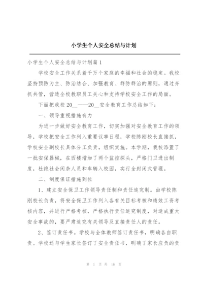 小学生个人安全总结与计划.docx