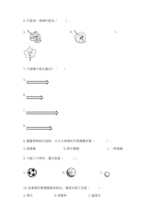 教科版一年级上册科学期末测试卷（培优b卷）.docx