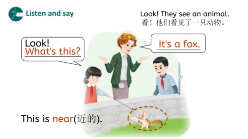 Unit 3 Amazing animals Part B Let's talk（优课）课件（21张