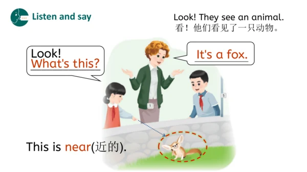 Unit 3 Amazing animals Part B Let's talk（优课）课件（21张