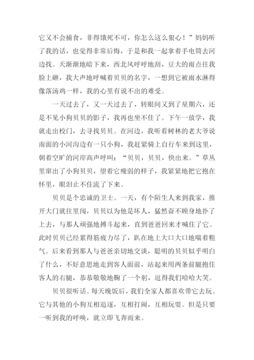 小伙伴作文800字.docx