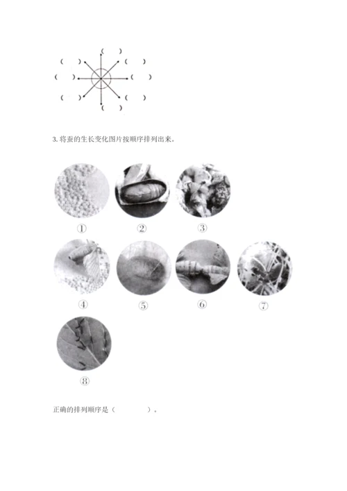 教科版科学三年级下册 期末测试卷（典型题）.docx