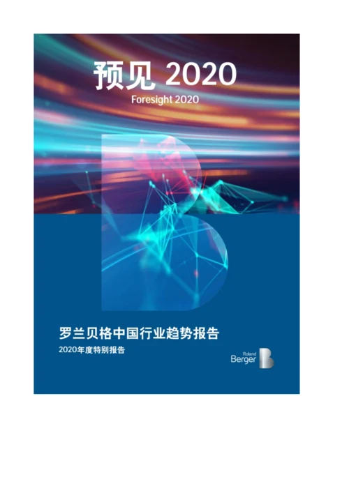 中国行业趋势报告-特别报告.docx